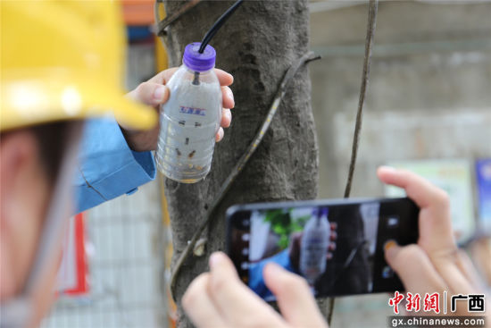 住戶為防止雨天插座漏電而套上的塑料瓶中積水明顯，存在漏電隱患。謝耘 攝